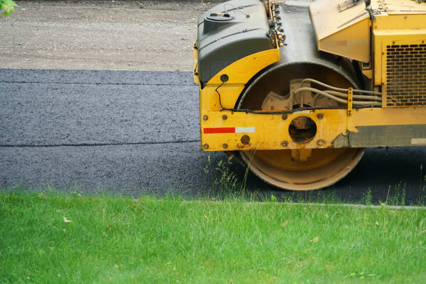 Paver Driveway Replacement in Ray City, GA